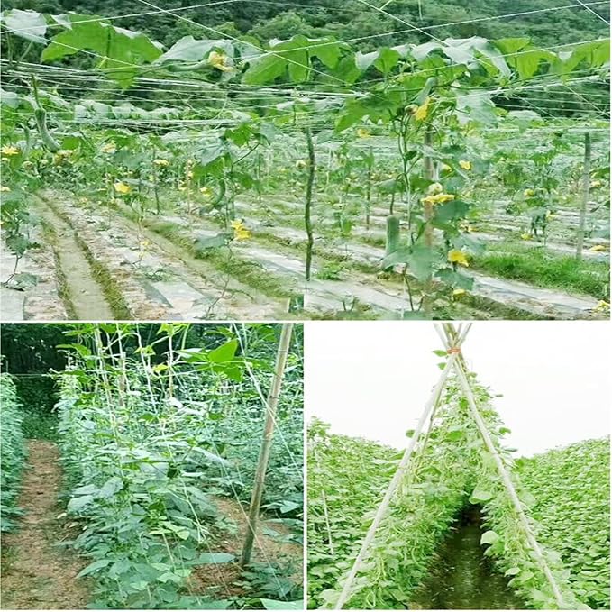 White Trellis Netting 6.5x100 ft Heavy Duty Garden Trellis Netting Polypropylene Plant Support Net for Climbing Vegetables Fruits Flowers