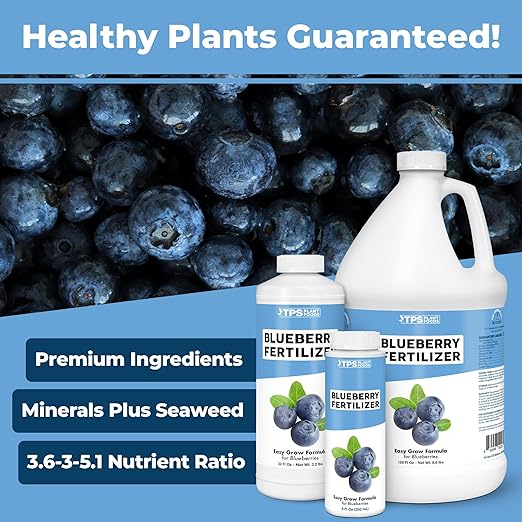Blueberry Fertilizer – Liquid Plant Food for Bigger Berries, Better Fruit Production & Stronger Root Development, 1 Gallon