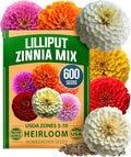HOME GROWN Zinnia Lilliput Mix Flower Seeds – 600 Seeds (4g) Zinnia elegans – Colorful Zinnia Seed Mix for Planting Spring 2026 for Garden Beds, Containers & Cut Flowers, Easy Grow Zinnia Seeds