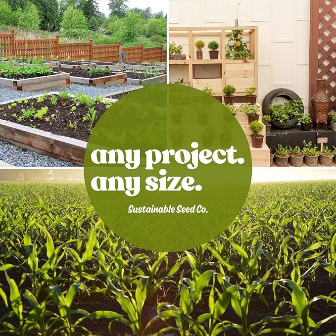 Wormwood Herb Seeds (4 Oz)