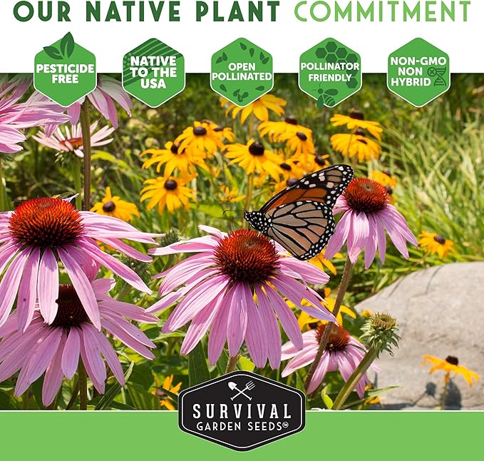 Bee Balm Seeds for Planting - Wild Bergamot (Monarda Fistulosa) Perennial Native Wildflower & Medicinal Herb for Pollinator Gardens, Fragrant Heirloom Flower - Survival Garden Seeds (3 Packs)