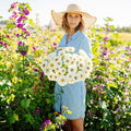 Eden Brothers Zinnia Seeds - Polar Bear, Non-GMO Seeds for Planting, 1 oz | Low-Maintenance Flower Seeds, Plant During Spring, Zones 3, 4, 5, 6, 7, 8, 9, 10