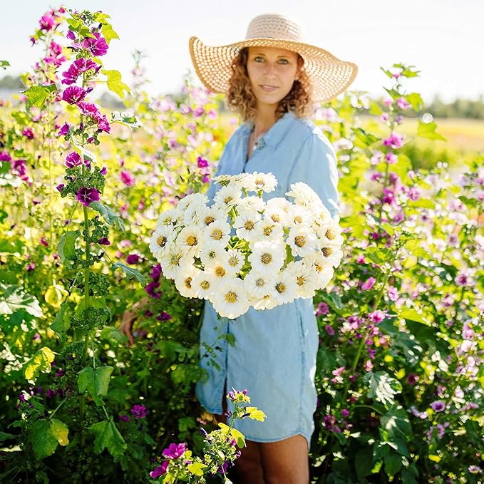 Eden Brothers Zinnia Seeds - Polar Bear, Non-GMO Seeds for Planting, 1 oz | Low-Maintenance Flower Seeds, Plant During Spring, Zones 3, 4, 5, 6, 7, 8, 9, 10