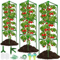Tomato Cages for Garden, 3 Pack Tomato Cage Trellis, Garden Cage Heavy Duty Tomato Stake Support, Garden Stakes Plant Cage for Pots Plants Vegetables