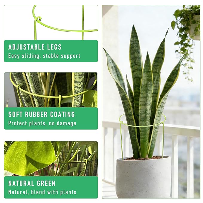 6-Pack Plant Support Stakes for Indoor Plants, Adjustable Monstera Cages & Snake Plant Support Rings, Potted Plant Supports Garden Stakes (6" W x 11" H)