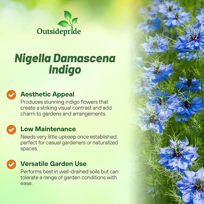 Outsidepride Jewels Indigo Nigella Seeds - 2000 Pcs Annual Flower Seeds for Planting with Vibrant Blooms & Lacy, Fern-Like Foliage, Attractive Cut Flower for Small Garden Spaces & Floral Arrangements