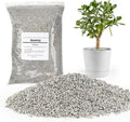 Pumice for Plants, 3 Quarts (1/4 Inch) Horticultural Pumice Stone, Natural Soil Amendment for Succulent Cactus Bonsai for Orchid Potting Mix, Improve Drainage & Aeration