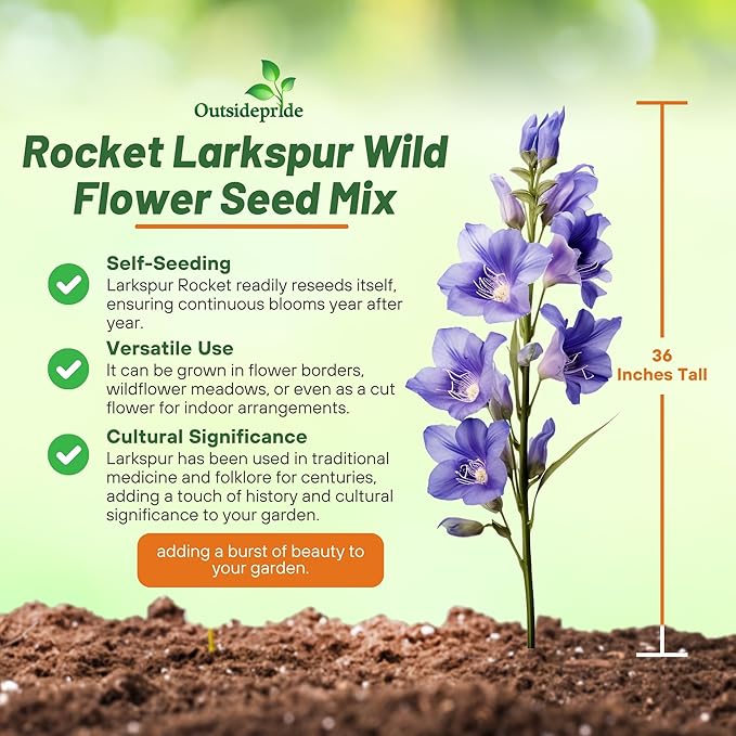 Outsidepride Mixed Rocket Larkspur Seeds for Planting Outdoors - 1 Lb. Annual, Self-Seeding, Heat & Drought Tolerant Wildflower Seeds for Cut Flower Arrangements & Pollinator Gardens