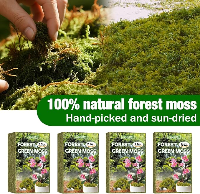 ZeeDix 3.3 lbs Forest Moss for Plants Indoor - Dried Orchid Moss for Repotting, Natural Green Sphagnum for Potted Plants Carnivorous Monstera Succulents Crafts Reptile Habitat (Expands to 60 qt)