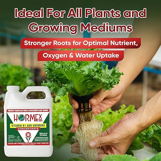 Hormex Liquid Rooting Hormone Concentrate with B1 – Root Growth Stimulator for Strong, Healthy Plants - Prevents Transplant Shock - Houseplants, Gardens, Hydroponics, Trees, Fruits & Vegetables, 32oz