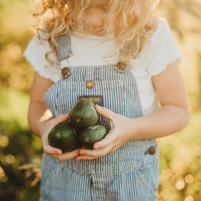 Boston Pickling Cucumber - 25 Seeds - Heirloom & Open-Pollinated Variety, Non-GMO Vegetable Seeds for Planting Indoors or Outdoors in The Home Garden, Thresh Seed Company