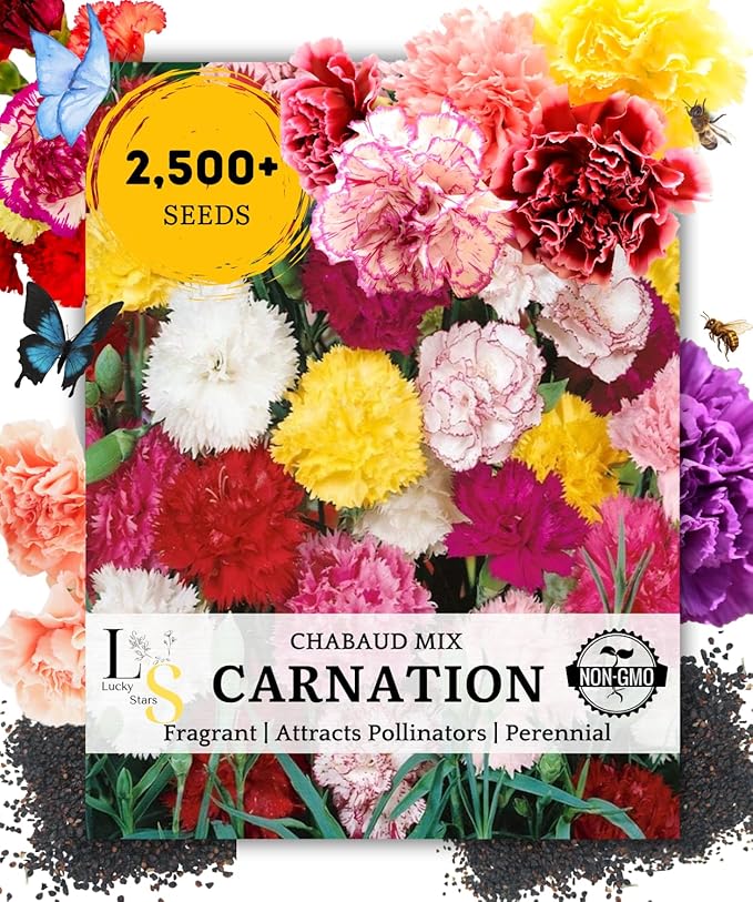 2500 Mixed Carnation Flower Seeds for Planting - AKA. Dianthus Caryophyllus Chabaud Mix Perennial