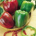 Burpee California Wonder (Organic) Sweet Pepper Seeds 300 seeds