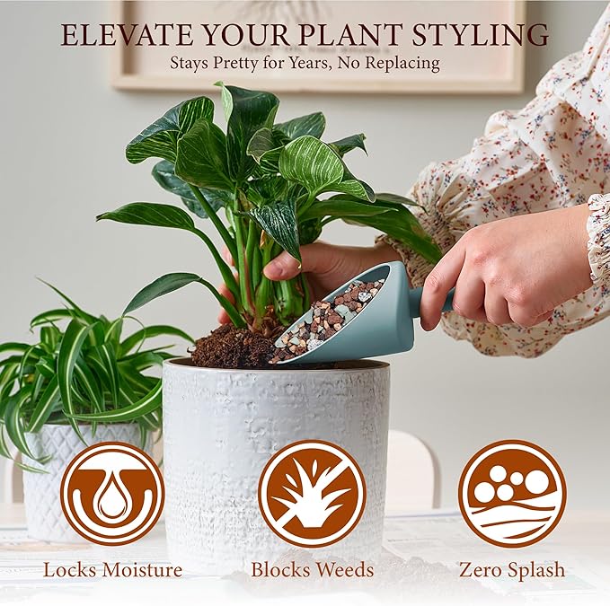 5LB Lava Rocks for Plants-3/8 Volcanic Rock for Succulent Potting Mix, Cactus, Orchids & Bonsai-Porous Horticultural Grit for Drainage, Aeration & pH Balance - Decorative Top Dressing