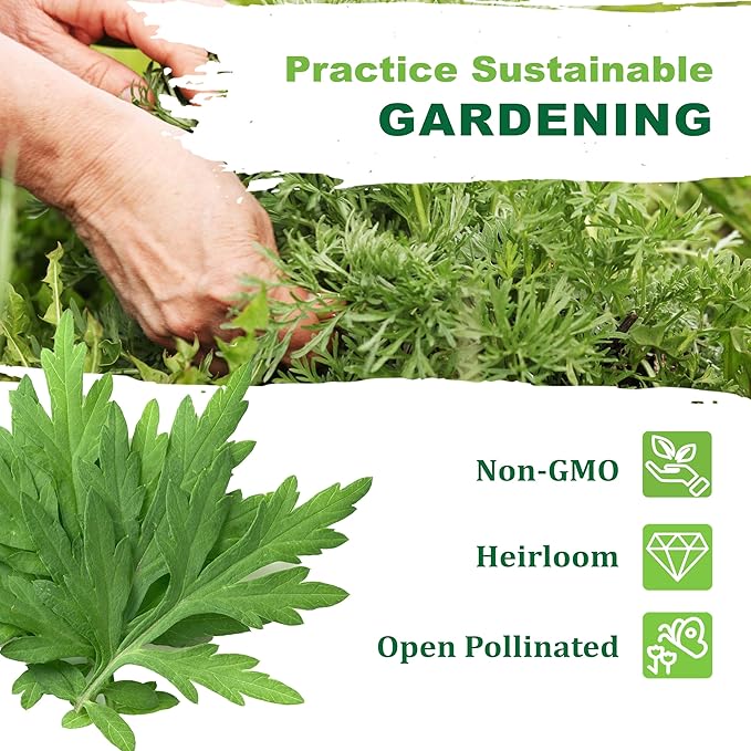 TKE Farms & Gardens - Mugwort Seeds for Planting, 500 mg Packet, 4000+ Non-GMO Heirloom Herb Seeds, Fast-Growing Perennial Herb, Includes Easy Planting Instructions