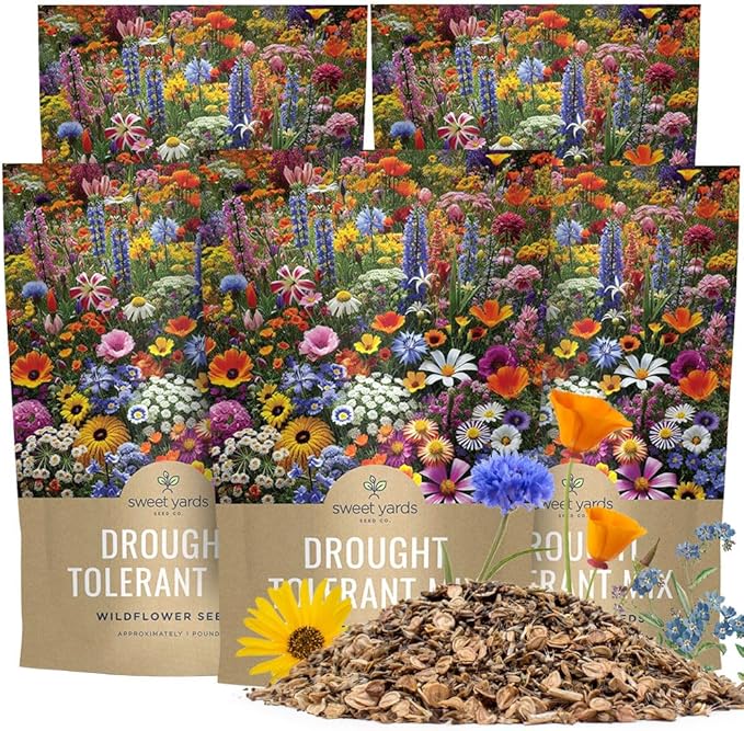 Drought Tolerant Wildflowers Mix – Bulk 5 Pounds – Over 600,000 Open Pollinated Non-GMO Seeds – 21 Different Dryland Species