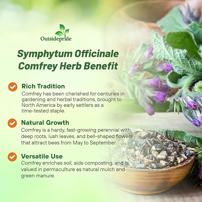 Outsidepride Comfrey Seeds - 200 Pcs. Perennial, Drought-Tolerant & Low Maintenance, Herb Seeds for Planting Tall, Vibrant Bell-Shaped Purple Blooms for Versatile Uses & Pollinator Gardens