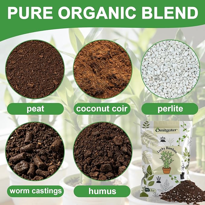 Pure Natural Potting Soil for Lucky Bamboo Plants 4qt- Superior Drainage & Breathability, Ideal Indoor Plant Soil