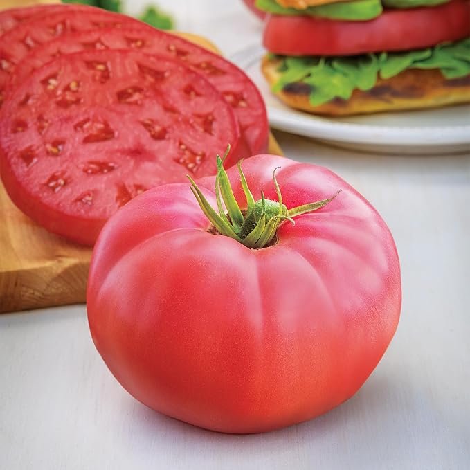 Burpee 'Medium Rare Hybrid' Tomato Seeds for Planting - Non-GMO, Indeterminate, Pink Beefsteak Slicing Tomato, 35mg Seed Packet for Home Garden