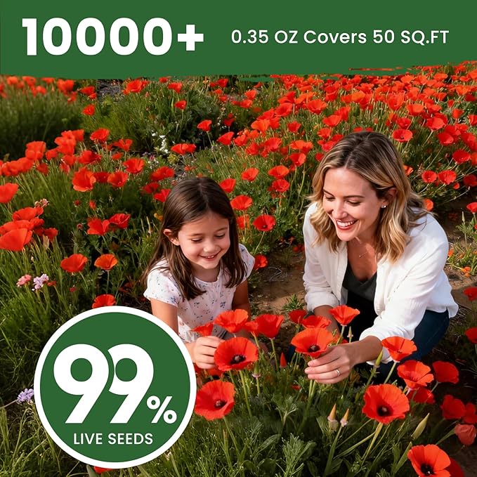 California Poppy Seeds for Planting, Red Poppy Flower Seeds, Bulk 10,000+ Seeds (0.35 oz), Easy to Grow, California State Flower for Garden