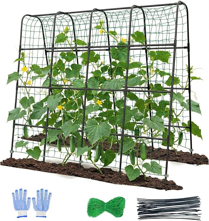 Garden Arch Trellis for Climbing Plants, Plastic-Coated Steel Trellis with Easy-Connect System, Includes Net, Ties & Gloves, Outdoor Plant Support for Vegetables (63" L x 63" H)
