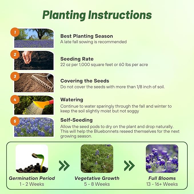 Outsidepride Texas Bluebonnet Seeds - 1 lb. Annual Lupinus Texensis, Heirloom Quality, Drought-Tolerant Wildflower Seeds w/Blue Blooms for Vibrant Spring Displays, Landscape, & Attracts Pollinators