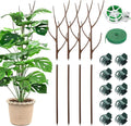 4 Pack 27.56" Detachable Twig Plant Support Stakes Set, Blends in to Plant, Branch Plant Sticks with Orchid Clips Twist Plant Ties, Twig Trellis for Indoor Outdoor Plants Potted Plants Flower