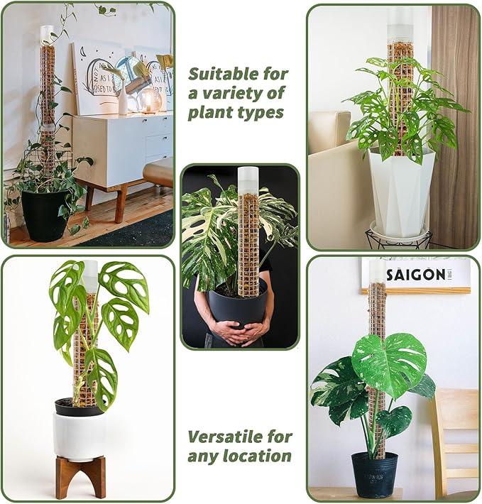 JEGU Self-Watering Moss Pole for Monstera Plant Support, 18.8 Inch Stackable Plastic Moss Pole for Climbing Plants. (2PACK-Lagre)
