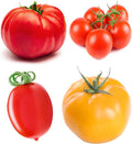 Tomato Seeds Collection – Heirloom Tomato Varieties for Planting: Beefsteak, Large Red Cherry, San Marzano, Yellow Brandywine – Vegetable Garden Seeds