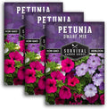 Dwarf Petunia Seed Mix for Planting - Plant & Grow Colorful Flowers to Attract Pollinators to Your Home Garden - Non-GMO Heirloom Variety - Survival Garden Seeds (3 Packs)