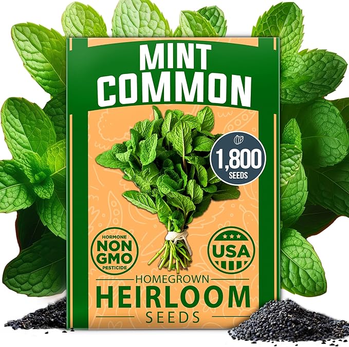 HOME GROWN 𝗨𝗦𝗔 𝗣𝗥𝗘𝗠𝗜𝗨𝗠 Common Mint Seeds 1,800 & Large Red Cherry Tomato 500 & Persian Cucumber 50 & Cherry Belle Radish Seeds 800