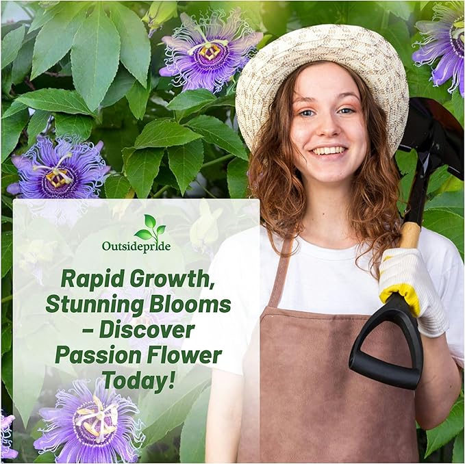 Outsidepride Passion Flower Seeds - 100 Pcs. Perennial, Fast-Growing & Pollinator Friendly, Flower Seeds for Planting Tall, Fragrant & Vibrant Star-Shaped Blooms for Trellises, Fences & Arbors