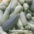 Grey Zucchini Summer Squash Garden Seeds - 4 g Packet ~30 Seeds - Non-GMO, Heirloom - Vegetable Gardening Seed - Gray