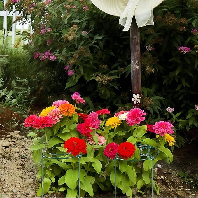 6 Pack Peony Cages and Supports, 11.8" Plant Support Ring with Detachable Extension Rod, Extends to 23.6" H, Heavy Flower Brace Ring Grow Through Plant Support Stakes for Tomato Hydrangea