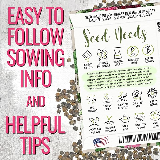 Seed Needs, Double Majorette Hollyhock Seeds - Heirloom Seeds for Planting Alcea rosea - Mixed Biennial Flower that Attracts Pollinators to the Garden (1 Pack)