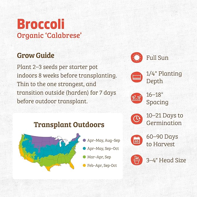 Back to The Roots 100% Organic Seed Packet - Broccoli 'Calabrese'