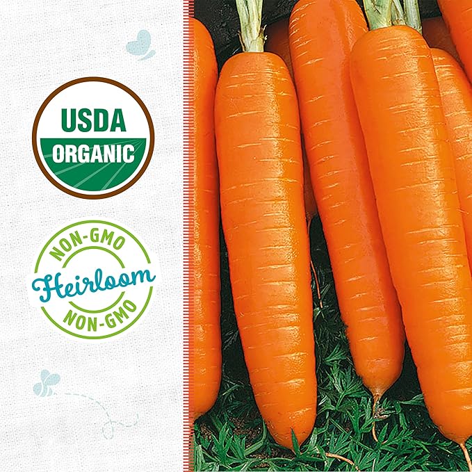 Back to The Roots 100% Organic Seed Packet - Carrot 'Scarlet Nantes' 420mg