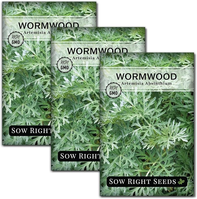 Sow Right Seeds - Wormwood Seeds for Planting - Non-GMO Heirloom Packet with Instructions to Plant & Grow an Outdoor or Indoor Herb Garden - Sagewort Repels Mosquitoes - Medicinal Worm Wood Herb (3)