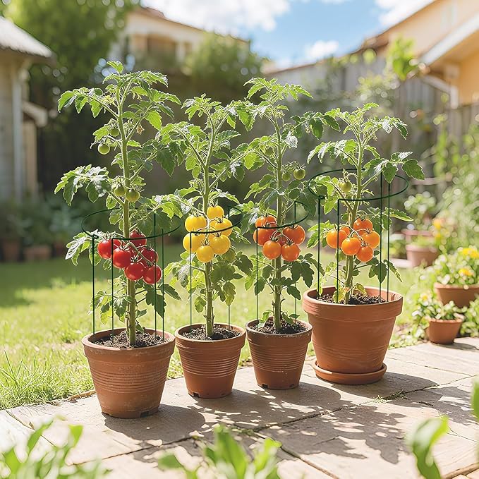 6 Pack with 11.8-in*19.7-in Half Round Plant Support Stakes, Metal Garden Plant Ring Supports for Peonies, Tomatoes, Hydrangeas, Prevent Plants from Falling Over