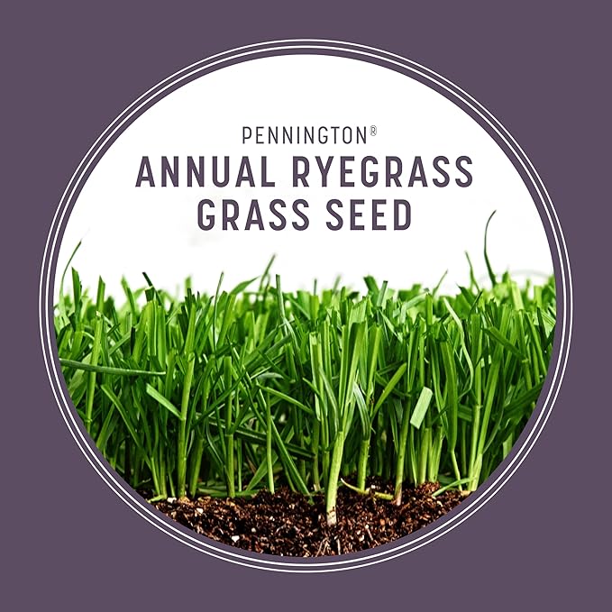 Pennington Annual Ryegrass Retail Bag to Overseed Warm Season Grasses, 25 lb