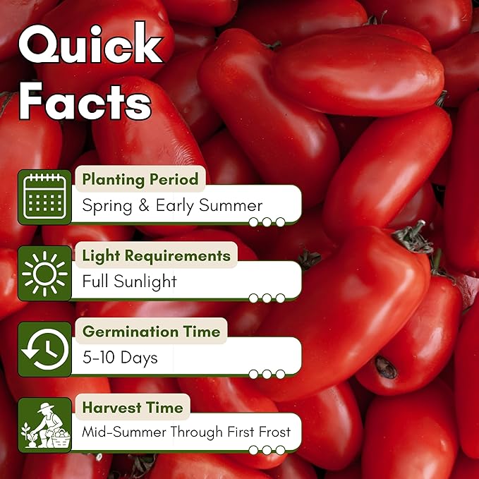 San Marzano Tomato Seeds for Planting - Non-GMO, Heirloom Tomato Seeds, Indeterminate Sauce Tomato Variety for Home Vegetable Gardens | Woods Creek Seeds
