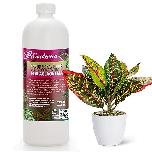 𝐏𝐑𝐎𝐅𝐄𝐒𝐒𝐈𝐎𝐍𝐀𝐋 Liquid Silica Plant Supplement - 32oz - AGLAONEMA Plants Liquid Silica Boost Fertilizer - Stronger Stems & Healthy Leaves for Indoor & Outdoor Aglaonemas (Makes 180 Gallons)