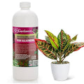 𝐏𝐑𝐎𝐅𝐄𝐒𝐒𝐈𝐎𝐍𝐀𝐋 Liquid Silica Plant Supplement - 32oz - AGLAONEMA Plants Liquid Silica Boost Fertilizer - Stronger Stems & Healthy Leaves for Indoor & Outdoor Aglaonemas (Makes 180 Gallons)