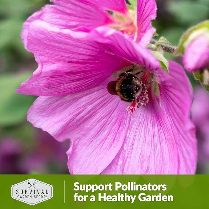 Survival Garden Seeds - Rose Mallow Seed for Planting - 3 Packs with Instructions to Plant and Grow Bright Pink Native Wildflower in Your Home Vegetable Garden - Non-GMO Heirloom Variety