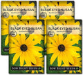 Sow Right Seeds - Black Eyed Susan Flower Seeds for Planting - Non-GMO Heirloom Seeds Packet to Plant a Home Garden - Perennial Wildflowers Attract Pollinators to Yard - Yellow with White Centers (4)