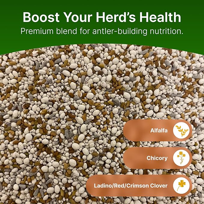 HIT LIST SEED® Alfalfa + Clover Food Plot Seeds for Deer [Perennial] - Food Plot Seed Perennial - Deer Plot Seed Mix - Ladino/Red/Crimson Clover, Alfalfa, Chicory - Spring & Fall Planting - 5 lbs