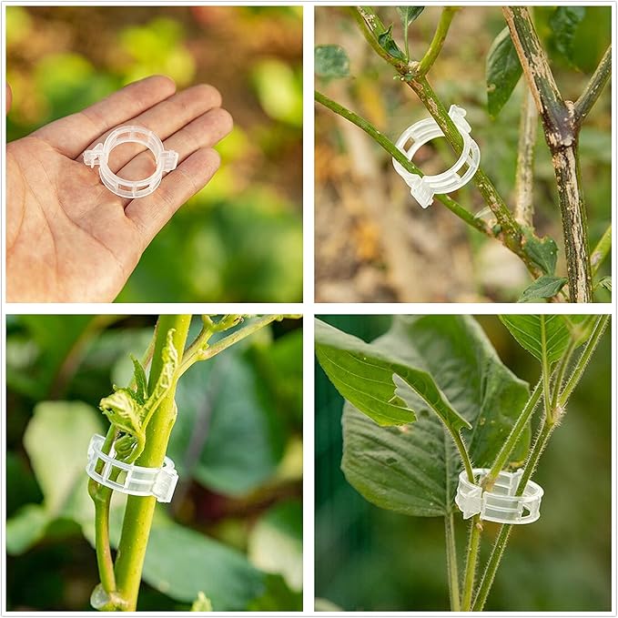 60pcs Tomato Hooks with String, Tomatoes Holder Hooks with 32.8ft Twine & Plant Support Clips, Vegetable Support J-Hook Clips Climbing Vine Crop Trellis Hooks for Vegetable Plant Fruit Flower (White)