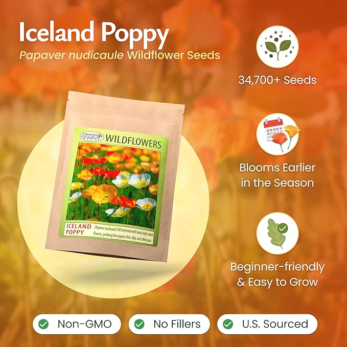 Created by Nature Iceland Poppy Seeds, 34,700 Perennial Wildflower Seeds
