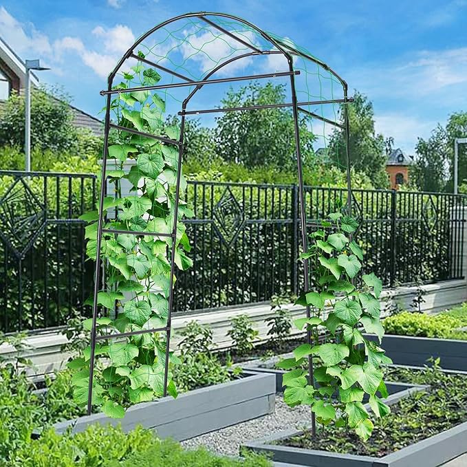 Cucumber Trellis, 6.7ft Tall Garden Arch Trellis for Climbing Plants Outdoor Arbor Support Vine Vegetable Tomato Bean Pea Grape Squash Pumpkin Cucumber Raised Bed, Lightweight, Black