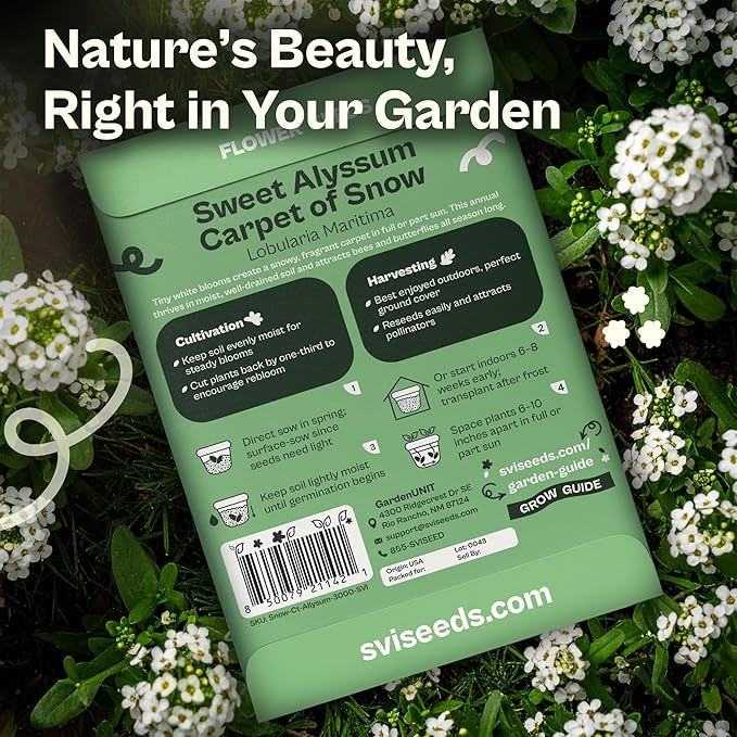 SVI 3000 Carpet of Snow Sweet Alyssum Seeds (Lobularia maritima) – White Sweet Alyssum Seed Packets Bulk – Ground Cover Seed Pack, Flower Seeds for Outside, Containers, Flower Beds